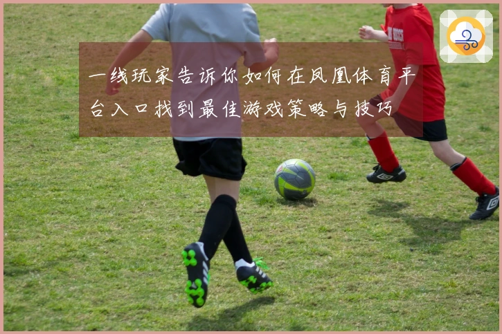 一线玩家告诉你如何在凤凰体育平台入口找到最佳游戏策略与技巧