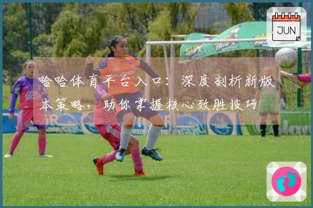 哈哈体育平台入口：深度剖析新版本策略，助你掌握核心致胜技巧