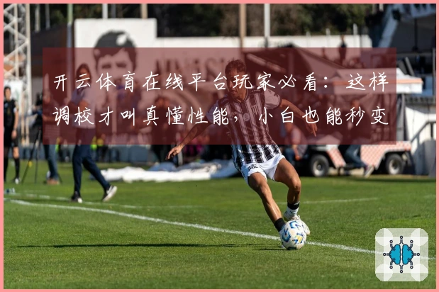 开云体育在线平台玩家必看：这样调校才叫真懂性能，小白也能秒变大神！