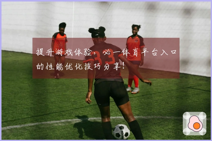 提升游戏体验，必一体育平台入口的性能优化技巧分享！