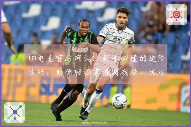 im电竞官方网站：新手必懂的进阶技巧，助你轻松掌握游戏核心玩法，告别迷茫！