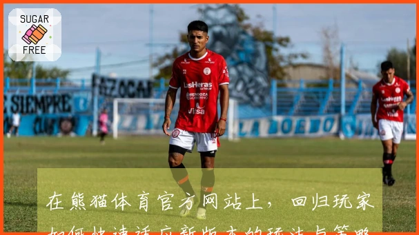 在熊猫体育官方网站上，回归玩家如何快速适应新版本的玩法与策略技巧